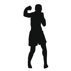 Martial Arts Silhouette