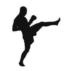 Martial Arts Silhouette