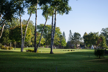 Fototapeta premium 公園の風景