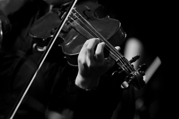 Fototapeta premium Musician's hand on violin strings in black and white