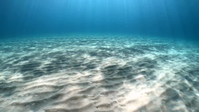 Moving over a sandy sea bottom with natural sunlight in the Mediterranean, French Riviera, France, 59.94fps