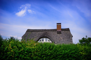 Thatched cottage on the Baltic Sea coast with a beautiful window in front of a green hedge.