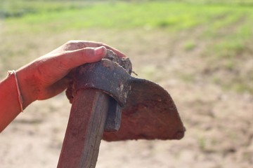 A farmer boy holds a hoe in his hand and a green rice field