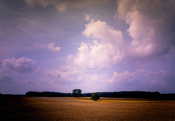 Fototapeta premium Landscape with wide harvested fields and trees in late summer after a thunderstorm