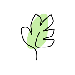 Monoline leaf of tree logo. Monstera outline emblem in linear style with green background. Vector abstract icon for design of natural products, flower shop, cosmetics, ecology concept