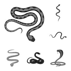 Isolated object of harm and bite logo. Collection of harm and reptile vector icon for stock.