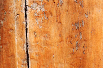 The old Nature Wood Texture for Background.