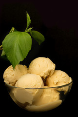 Fototapeta na wymiar Homemade mango ice cream in yellow in a glass clear deep plate on a black background and green plant