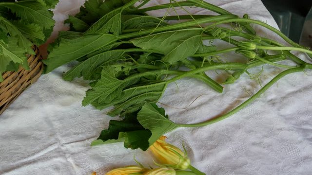a farmer collects vegetables in the basket in the garden. the Talli are the leaves, the flowers, the shoots and the small fruits of pumpkins and courgettes (zucchini), very consumed in southern Italy