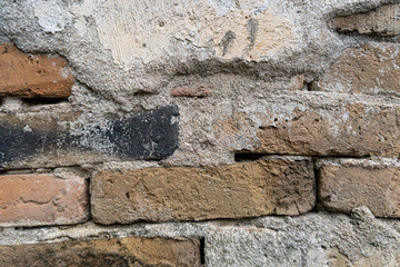 Empty very old brick wall Texture , red stone wall , Leaves lichen algae Moss tree at wall , White Cement Plaster. Selective Focus