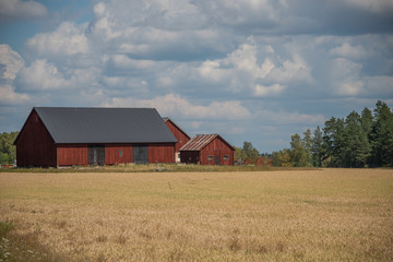 Autumn  landscape with barns in the Stockholm area