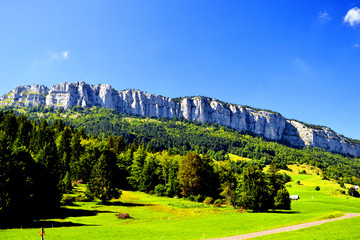 Obraz premium Beautiful rocky mountains of the french Alps, with forest and a field, in summer. This place is near the village 