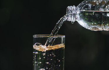 hand holding water glass and bottle in nature background.