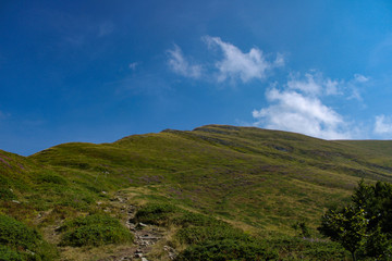 cima dell'Omo (Alpe di Barga)