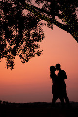 Fototapeta na wymiar Silhouette of a couple in a romantic moment at the evening in sunset moment with pink sky behind and a tree making a shape of a heart