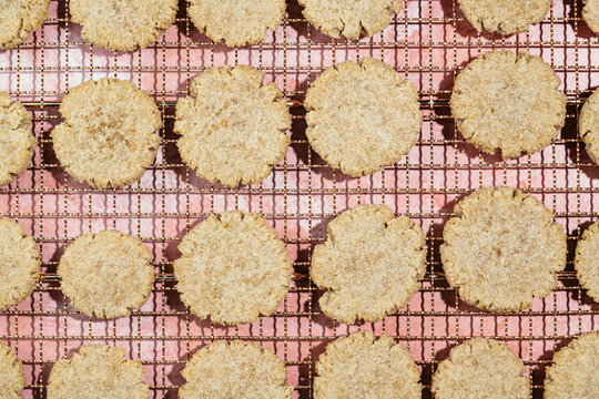 Freshly Baked Spiced Sugar Cookies