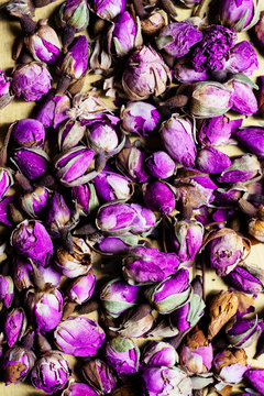 Purple Dried Rose Hips