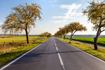 Fototapeta premium Autumn sunny landscape with colorful view Lower Saxony