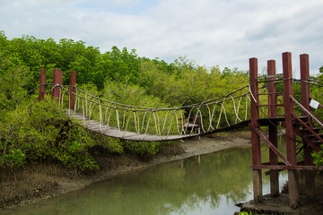 Hanging bridge across the river