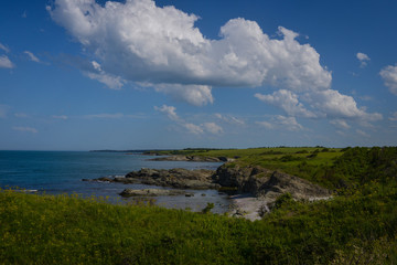 Naklejka premium landscape with blue sky and clouds