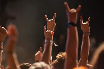 crowd of people having fun at concert - summer music festival