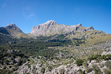 Fototapeta na wymiar Sierra de Tramuntana, Isla de Palma de Mallorca. España.