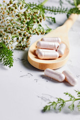 Alternative medicine, naturopath and dietary supplement. Herbal remedy in capsules and plants over...