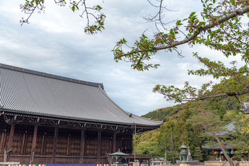 京都 知恩院 境内の風景