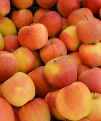 organic and fresh apples in the market