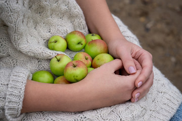 female hands hold apples on their lap