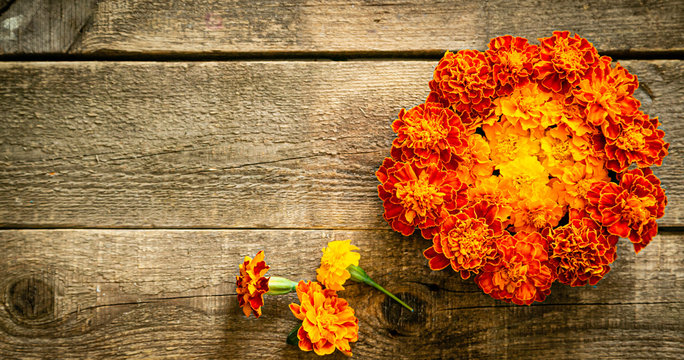 Diwali holiday concept - marigold flowers on wood background, top view