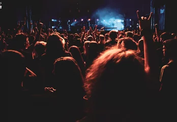 Foto op Aluminium crowd of people having fun at concert - summer music festival © Melinda Nagy