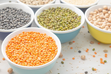 Different bean cultures in small bowls
