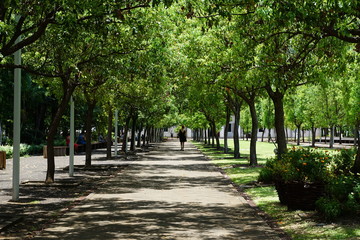 museum in La reunion in saint denis