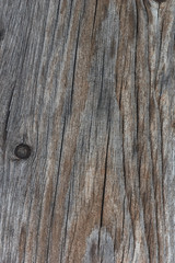 Background of the old hardwood