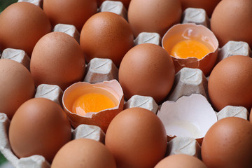 Eggshell  uncook in egg panel background, good nutrition for ingredient food