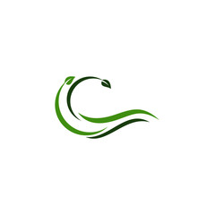 Creative green leaf logo template