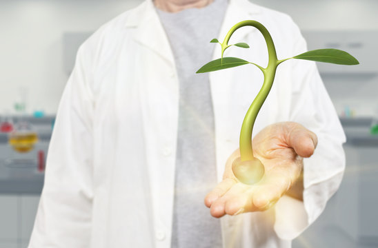 White scientist holding germinating seed on a blurred laboratory background 3d rendering. Concept for agronomy research, nutrition, biochemistry, growth experiment and microbiology.