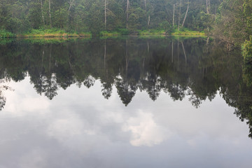 trees and clouds reflection on water ground of Velke mechove jezirko lake near Rejviz in Jeseniky mountains in Czech republic