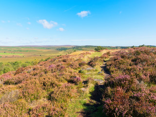 To the end of Birchen Edge and across Derbyshire