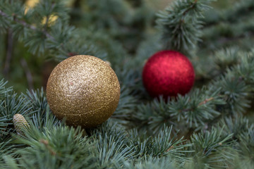 Christmas / New Year Gold and Red Decorative Balls on The Pine Tree