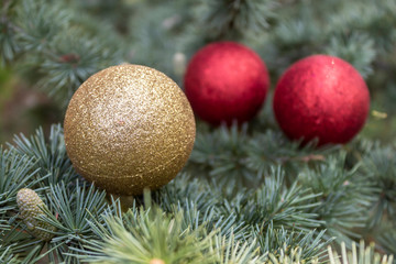 Christmas / New Year Gold and Red Decorative Balls on The Pine Tree