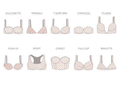 Types of women's bra with various print. Vector illustration