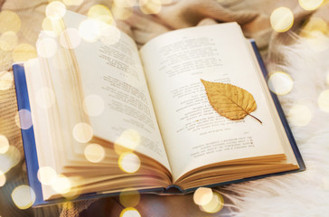 literature, reading and poetry concept - book with autumn leaf on blanket at home