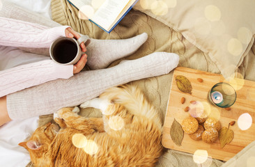 pets, hygge and people concept - woman with coffee, book, cookies and red tabby cat sleeping on...