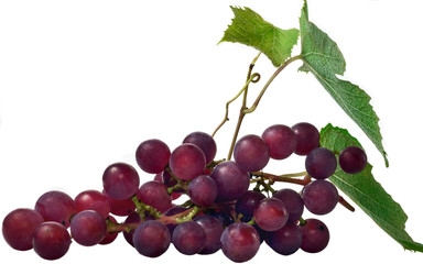 A bunch of grapes on a white background. With green leaves. Isolated object