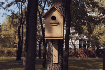 Cute empty wooden birdhouse in the park. Handmade house for birds among the trees. Home of a sparrow.