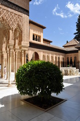 Fototapeta premium Alhambra Granada - Spagna