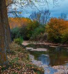 autumn in Park. Aguilar de Campoo, Palencia. 