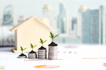 Investor of real estate.  The plants growing on money coin stack for investment home,  business...